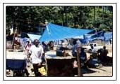 Markt in Samana